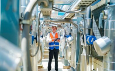 Facility Management energetico: perché esternalizzare la gestione dell’energia conviene alle aziende